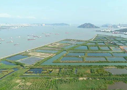 广州南沙渔业产业园官网正式上线