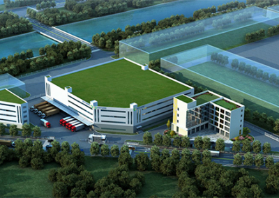 南沙农业集团创“党建到田头”品牌 促企业高质量发展