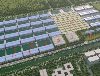 工业化SPF育繁养现代渔业综合产业园项目