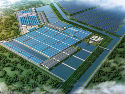 恒兴水产现代生态渔业全产业链项目