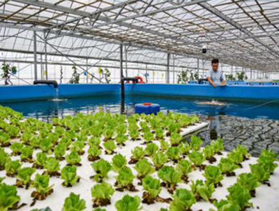 循环推水养殖系统建设与示范项目